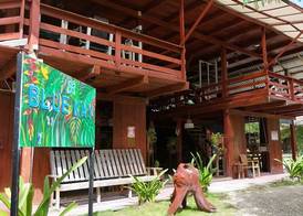 Eco Cabañas Bluekay 4