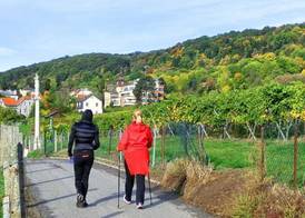 Schild Rooms - Self Check-in - Nature and Wine Area 4