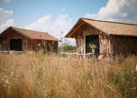 Serengeti Safari Lodge 4