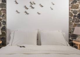Hotel Eucalyptus 5