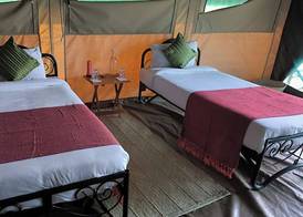 Julia's River Camp 2