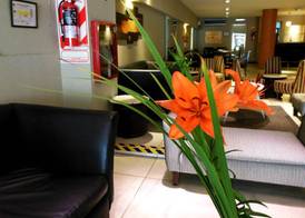 Hotel Impala 4