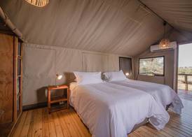Nkambeni Safari Camp 5