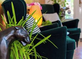 Hotel Les Oliviers 4