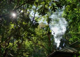 Narrows Escape Rainforest Retreat 4