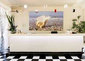 Terinikos Sunny Garden Hotel & Junior Suites 3