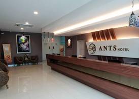 Ants Hotel 3