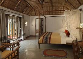 Evolve Back Kabini 4