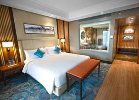 Radisson Blu Resort Dharamshala 3