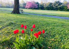 Endsleigh Park Hotel 5