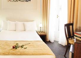 Arni Hotel Domotel 4