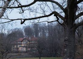 Waldhaus Jakob 5