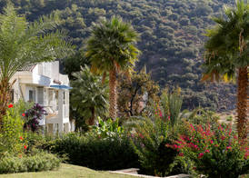 Morina Deluxe Hotel 5