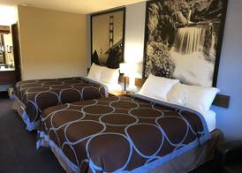 Super 8 by Wyndham Albany Corvallis 4