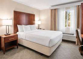 Comfort Inn Columbia Gorge 5