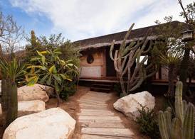 El Perdido Desert Dream- Todos Santos Adults Only 5