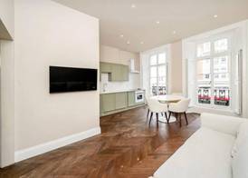 Stylish & Spacious 1 br Flat in Central Camden 4