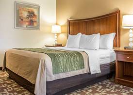 Comfort Inn & Suites Orangeburg 4