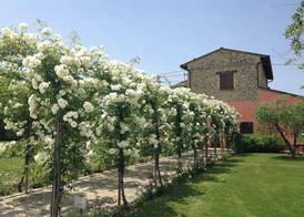 Agriturismo Casale Le Selvette 3