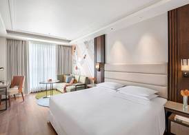 Hyatt Centric Rajpur Road Dehradun 5
