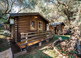 Holiday Park Olive Tree 2