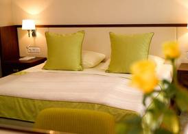 Seehotel Rust 5
