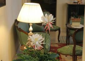 Domus Mariae Benessere 2