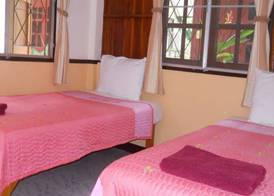 4T Guesthouse 5