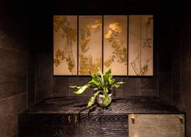 ROKA by HHG 2