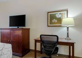 Best Western Plus Sweetwater Inn & Suites 5