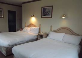 Dalys Inn 5