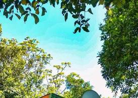 Hotel Flor de Bromelia 3