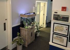 Nysdill Accommodation 2