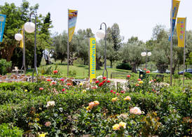 Club Mac Alcudia 2