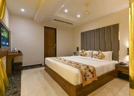 Hotel Avalon Palms Agra 4