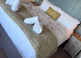 The Edgcumbe Arms 4