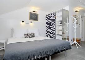 Zebra 5
