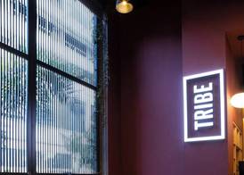Tribe Medellín 3