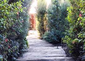 Lavandeira Douro Nature & Wellness 2