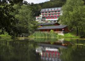 Waldhaus am See 3