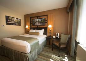Best Western Queens Gold Coast 4