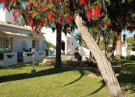 Quinta dos Oliveiras 5