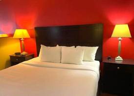 Comfort Inn & Suites Morton - Peoria 5