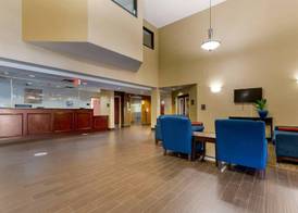 Comfort Inn & Suites Cambridge 3