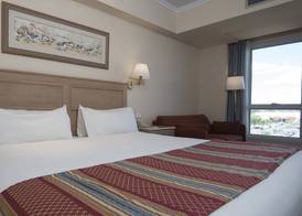 Holiday Inn CORDOBA by IHG 4