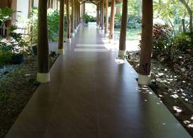 El Jardin de Zaida 2
