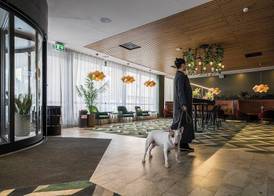 Comfort Hotel Sundsvall 4