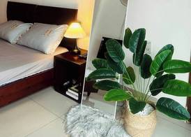 The Cozy Home 4