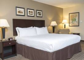 Holiday Inn AURORA NORTH- NAPERVILLE by IHG 5
