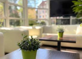 SensCity Hotel Berlin Spandau 3
